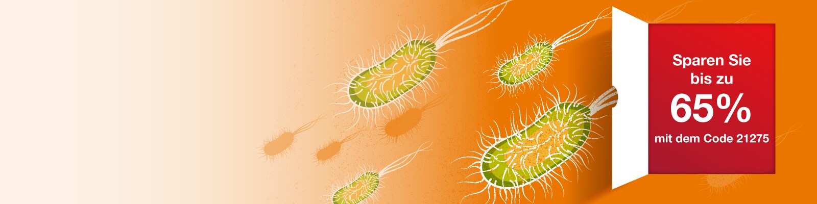 E. coli Transformation banner