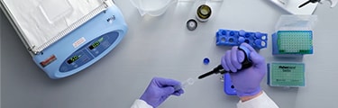 Video: Wie Sie Ihre Zielproteine mit fluoreszenzbasierten Reagenzien nachweisen